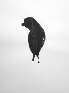 Sin título, 2009 (monotipo) de Richard Green