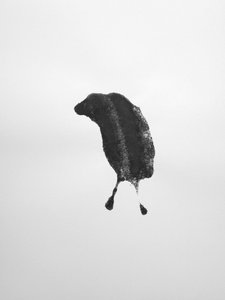 Sin título, 2009 (monotipo) de Richard Green