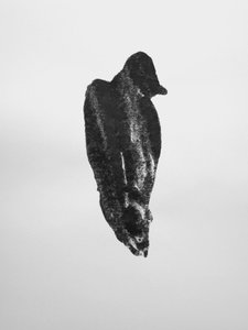 Sin título, 2009 (monotipo) de Richard Green