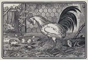 El Gallo y La Perla de Richard Heighway