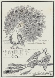 El Arrendajo y El Pavo Real