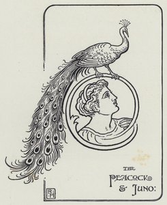 El Pavo Real y Juno