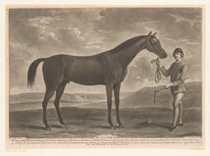 Caballo de carreras con jinete
Matchem (título en el objeto) de Richard Houston