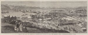 Parte de la ciudad y el puerto de Dunedin, la capital de Otago, Nueva Zelanda de Richard Principal Leitch
