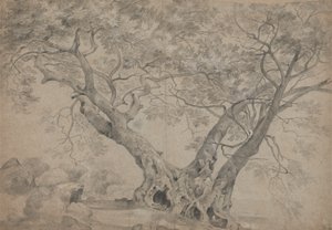 El Arbra Sacra a orillas del lago Nemi de Richard Wilson