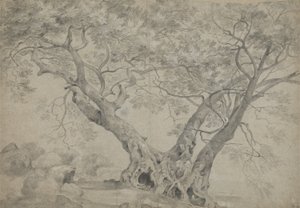 El Arbra Sacra en las orillas del lago Nemi, c.1754-56 (tiza blanca y negra sobre papel) de Richard Wilson