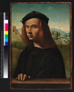 Retrato de un joven, 1500 de Ridolfo Ghirlandaio