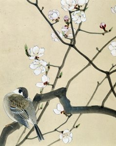 Pájaro - Dibujo japonés de Riou Chim, finales del siglo XIX de Riu Chim