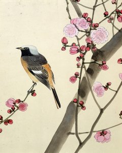 Pájaro - Dibujo japonés de Riou Chim, finales del siglo XIX de Riu Chim