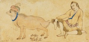 Estudio de un joven y un carnero, 1630-31 o posterior de Riza i Abbasi