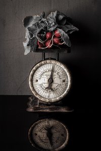 Rábanos «Vintage Scale» de Rob Ryan