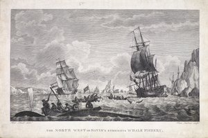 La pesquería de ballenas de North West o Davis