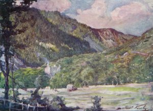 Un campo de heno cerca de Portmadoc de Robert (after) Fowler
