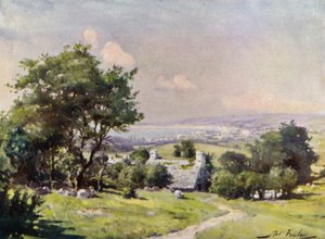 Vista distante de la Bahía de Carnarvon de Robert (after) Fowler