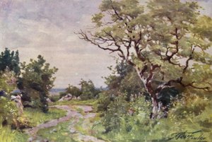 Camino de campo, cerca de Llanrug de Robert (after) Fowler