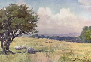 Campo soleado, cerca de Llanberis de Robert (after) Fowler