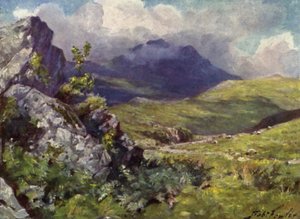 Vista de Moelwyn de Robert (after) Fowler