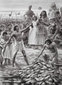 Contar las manos cortadas a los muertos (litografía)