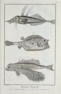 Ilustración de 
