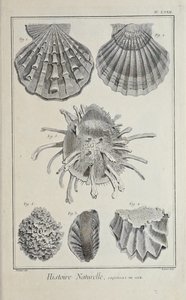 Ilustración de 