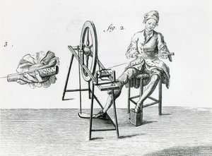 Economía rústica, algodón, de la Enciclopedia de Denis Diderot 1713-84 (detalle)