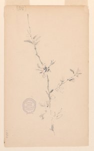 Rama de Robert Frederick Blum
