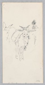 Burros de Robert Frederick Blum