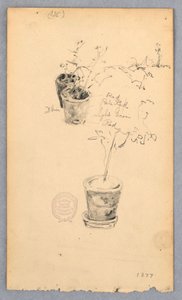 Dibujo, Macetas, 1877 de Robert Frederick Blum