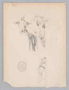 Cabra de Robert Frederick Blum