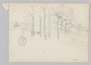 Paisaje