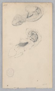 Zapato de Robert Frederick Blum