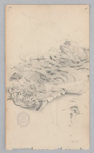 Alfombra de piel de tigre
