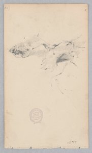 Alfombra de piel de tigre de Robert Frederick Blum