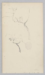 Árbol de Robert Frederick Blum