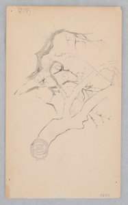 Rama de árbol de Robert Frederick Blum