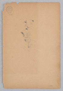 Mujer de Robert Frederick Blum