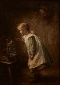 El canario mascota de Robert Gemmell Hutchison