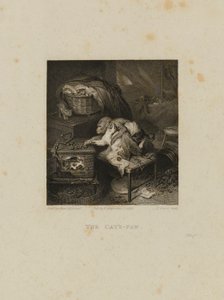 La pata del gato