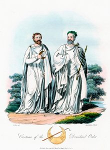 Druidas de Robert Havell
