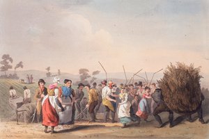Trilla de colza, 1 de noviembre de 1813