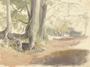 Haya de Robert Hills