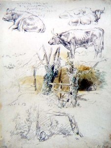 Estudios de Ganado de Robert Hills