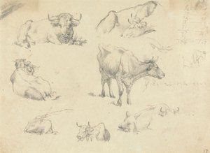 Vacas desde varios ángulos de Robert Hills