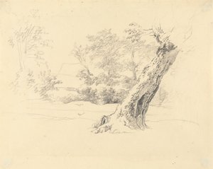Estudio de árboles de Robert Hills