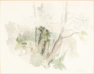 Árboles en Beddington