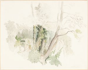  de Robert Hills