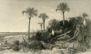 En la Costa de Florida, 1872