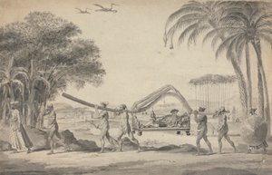 Viajero en palanquín en la India