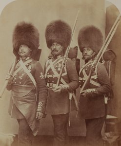 Modales de pioneros y guardias Webster y Lemmen, Guardia de Granaderos de Robert Howlett