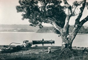 Isla de la Iglesia, Lough Gill, Sligo, c1908 de Robert John Welch